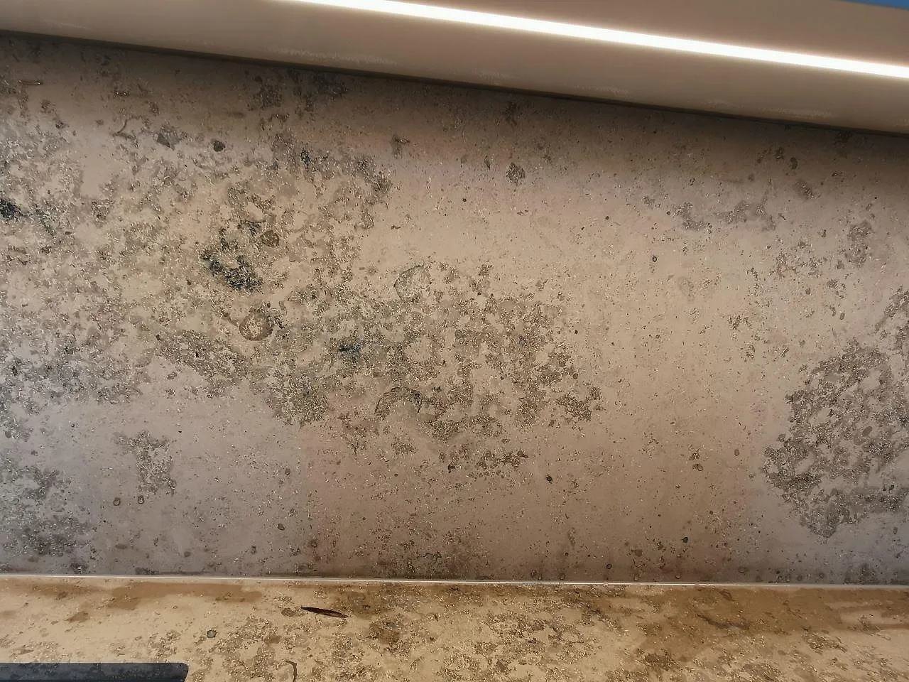 Jura Grey kalkstensskiva med matt yta och tydlig fossilådring som stänkvägg i ett kök i Malmö.