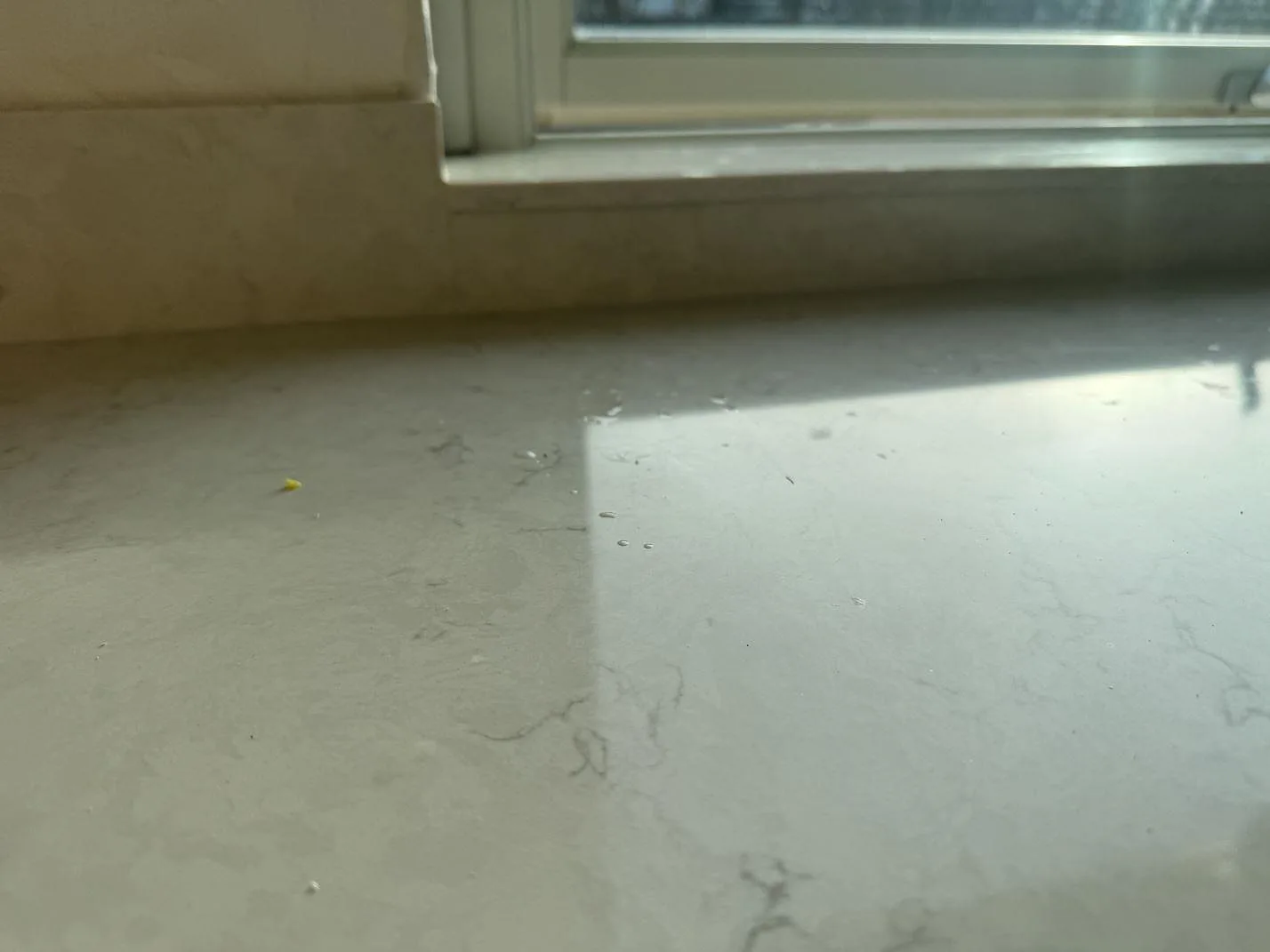 Närbild av den polerade Silestone Lagoon-ytan vid fönster, med ljusreflexer och grå ådring i Pixbo.