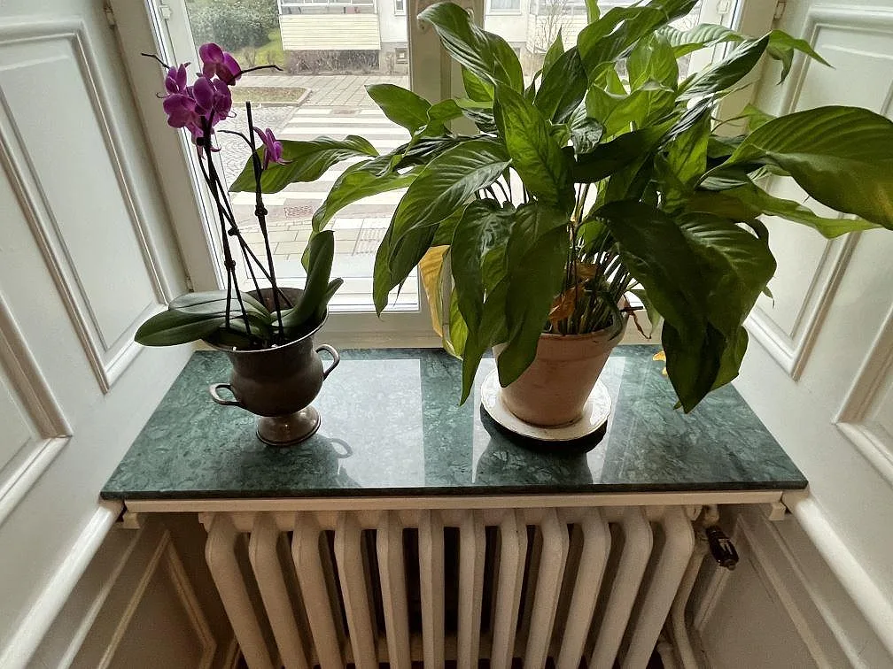 Skiva i grön Verde Guatemala-marmor ovanpå en radiator i en fönstersmyg, polerad yta, dekorerad med en orkidé och en grön växt, i ett hem i Landskrona.