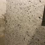 Sensa Colonial White - Malmö 2021-11-16