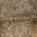 Jura Grey - Malmö 2021-11-20