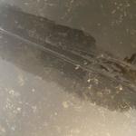 Dekton Kelya - Göteborg 2022-01-12