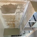 Carrara C - Löddeköpinge 2022-01-13