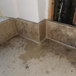 Jura Grey - Frederiksberg 2022-01-23