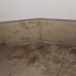 Jura Grey - Frederiksberg 2022-01-23