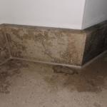 Jura Grey - Frederiksberg 2022-01-23