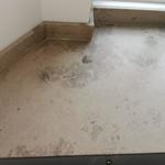 Jura Grey - Frederiksberg 2022-01-23