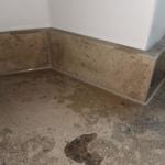 Jura Grey - Frederiksberg 2022-01-23