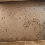 Jura Grey - Malmö 2022-01-31