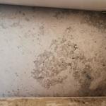 Jura Grey - Malmö 2022-01-31