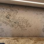 Jura Grey - Malmö 2022-01-31