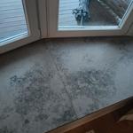 Jura Grey - Limhamn 2022-02-01