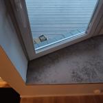 Jura Grey - Limhamn 2022-02-01