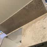 Jura Grey - Skanör 2022-02-08