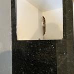 Emerald Pearl - Malmö 2022-02-14