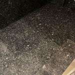 Angola Black - Skegrie 2022-09-30