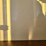 Silestone Blanco Maple 14 - Stockholm - montering  2023-10-13