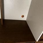 Silestone Lime Delight - Malmö - montering  2023-11-11