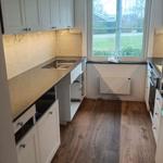 Silestone Eternal Charcoal Soapstone - Södra Sandby - montering  2024-01-23