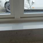 Technistone Noble Quartzite - Furulund - montering  2024-03-25