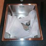 Projekt Nero Assoluto - Åsa