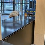 Silestone Night Tebas - Mölndal - montering  2025-01-22