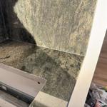 Verde Savana - Bunkeflostrand - montering  2025-01-20