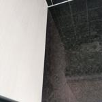 Projekt Angola Black - Oxie