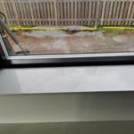 Projekt Silestone Eternal Calacatta Gold - Hovås