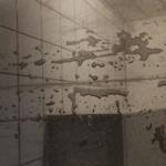 Projekt Nero Assoluto - Vintrie