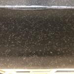 Projekt Nero Assoluto - Bjärred