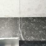 Nero Assoluto - Blentarp 2021-10-05