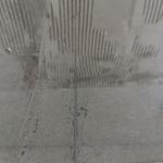 Nero Assoluto - Genarp 2021-10-08